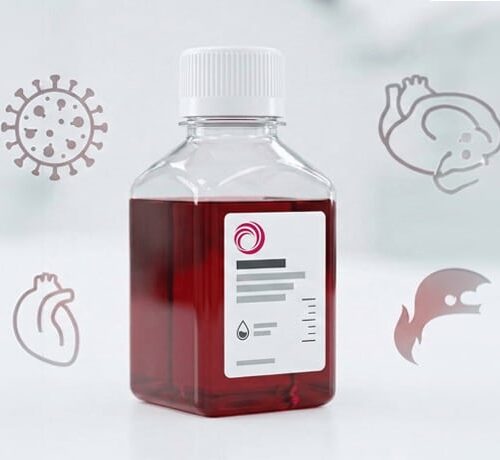 Our-off-the-shelf-conjugate-families-primary - 5